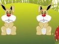 Happy Rabbits 