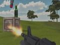 Bottle Shooting 