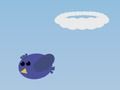 Basket Bird 