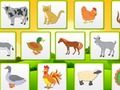 Farm Animals Kids Learning  Memory 