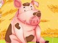 Farm Puzzle 