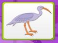 Kids Memory With Birds 