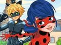 LadyBug Differences 