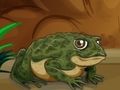 Frogs Matching 