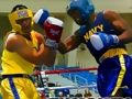 Angry Boxers Fight 