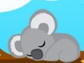 Koala Bear 