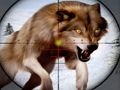 Wild Animal Hunting Wild Animal Hunting