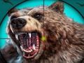 Wild Bear Hunting Wild Bear Hunting