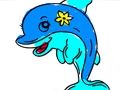 Dolphin Coloring Book Dolphin Coloring Book