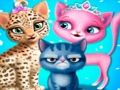 Cat Hair Salon 