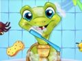 Pet Wash 