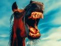 Funny smiling animals 