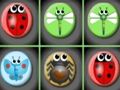 Bug match 