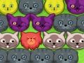 Pop-pop kitties 