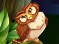 Owl Shooter 