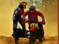 Speedway Sidecar Jigsaw 