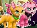 Magical Pet Maker 