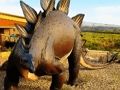 Stegosaurus Dinosaur Jigsaw 