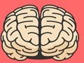 Brain Test 
