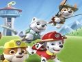 Paw Patrol Coloring 
