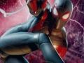 Spider man Shooter 