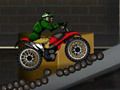 Extreme Bikers