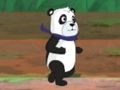 Panda Run 