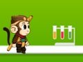 Jungle Monkey Run 