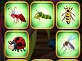 Insects Bumping Match 