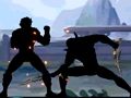 Shadow Fight Combat 