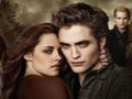 Twilight Jigsaw Puzzle Collection 