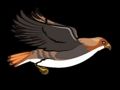 Flying bird 