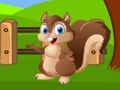 Squirrel Farm Escape 