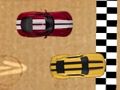 Race 
