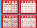 Bingo bash 
