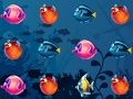 Sea World 