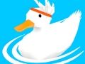 Duck Lings 