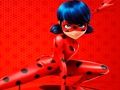 Ladybug Coloring 
