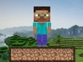 Minecraft Survival 