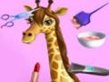 Animal Fashion Hair Salon Animal Fashion Hair Salon