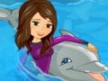 My dolphin show My dolphin show