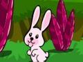 Hopping Rabbit Escape 