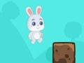 Rabbit Run Adventure 