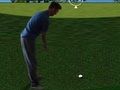 Flash Golf 3D