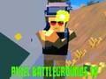 Pixel Battlegrounds. IO 