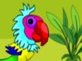 Macaw Couple Escape Macaw Couple Escape
