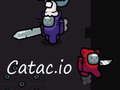 Catac. io 