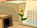 Egypt Colony Escape 