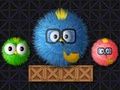 Where Is My Ruffled Bird 