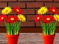 Flower House Escape Flower House Escape